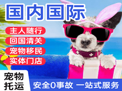 西宁曹家堡机场空运国际宠物托运 【国